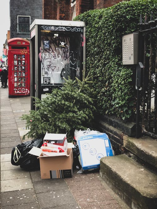 绿叶植物旁边的棕色纸板箱 · 免费素材图片