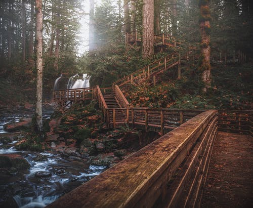 棕色和白色的房子附近的水粉画 · 免费素材图片