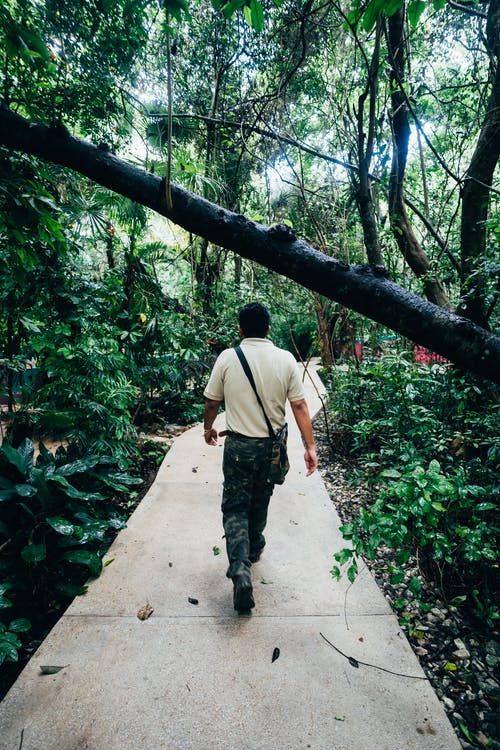 女士白色和黑色长袖连衣裙 · 免费素材图片