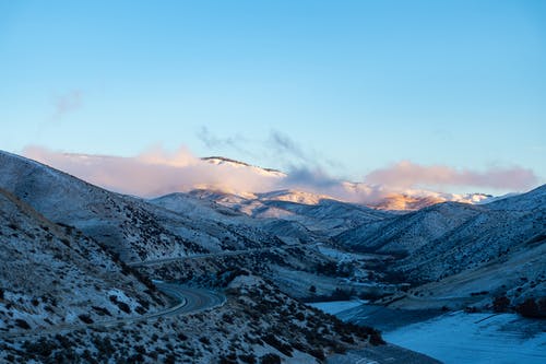 黑色和灰色花卉纺织 · 免费素材图片