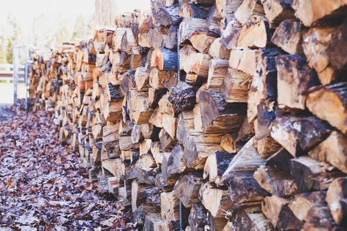 堆干柴原木 · 免费素材图片