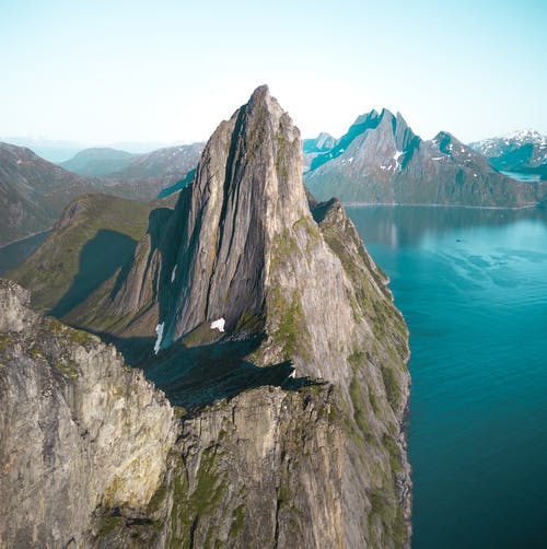 绿色和棕色树画 · 免费素材图片