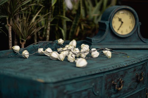 座钟旁边的蓝色木桌上的白花瓣花 · 免费素材图片