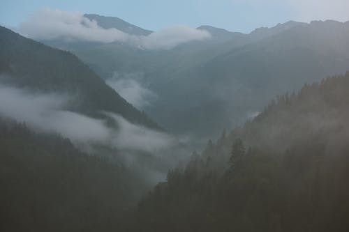 有雾的日子山的照片 · 免费素材图片