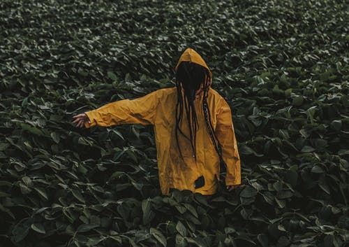 身穿黄色雨衣的人被绿叶植物包围 · 免费素材图片