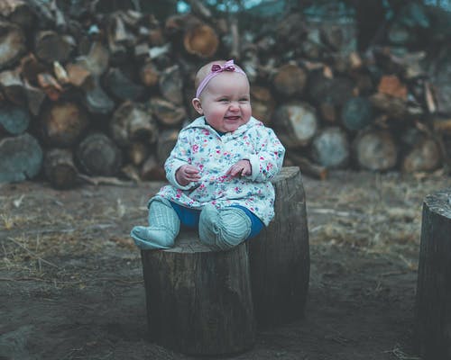 蹒跚学步坐在木原木上微笑 · 免费素材图片