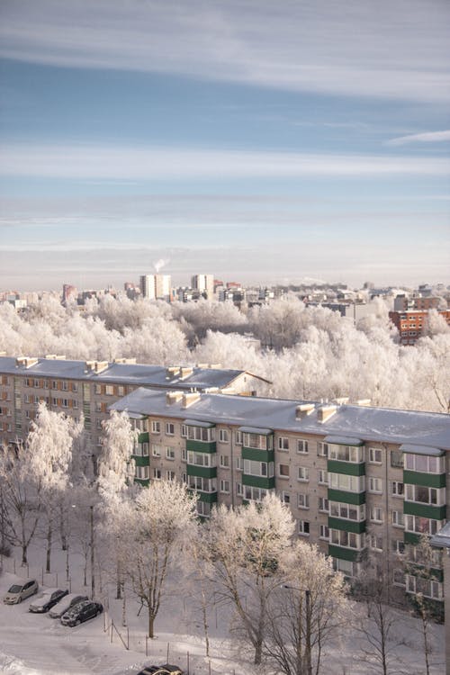 积雪覆盖的绿色和灰色建筑物 · 免费素材图片