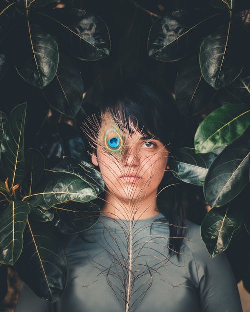 女人抱着孔雀羽毛 · 免费素材图片