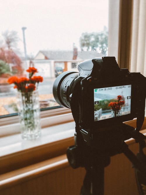 黑色单反相机在透明玻璃花瓶中拍摄橙色的花朵的照片 · 免费素材图片