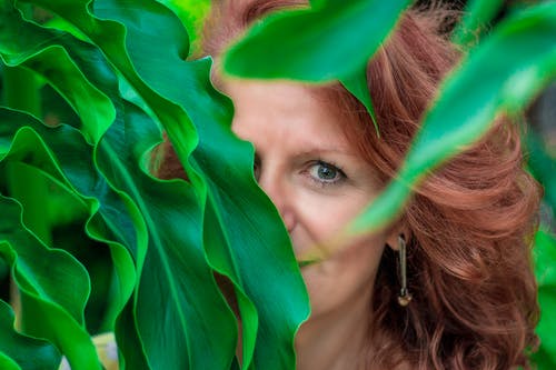 躲在绿叶植物上的女人 · 免费素材图片
