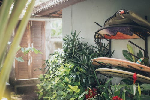 冲浪板 · 免费素材图片