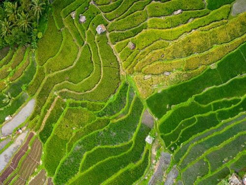 草地鸟瞰摄影 · 免费素材图片