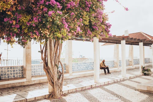 男子坐在附近等待棚的混凝土砌块 · 免费素材图片