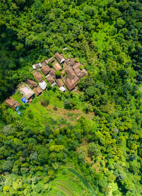 树木包围的棕色房屋的鸟瞰摄影 · 免费素材图片