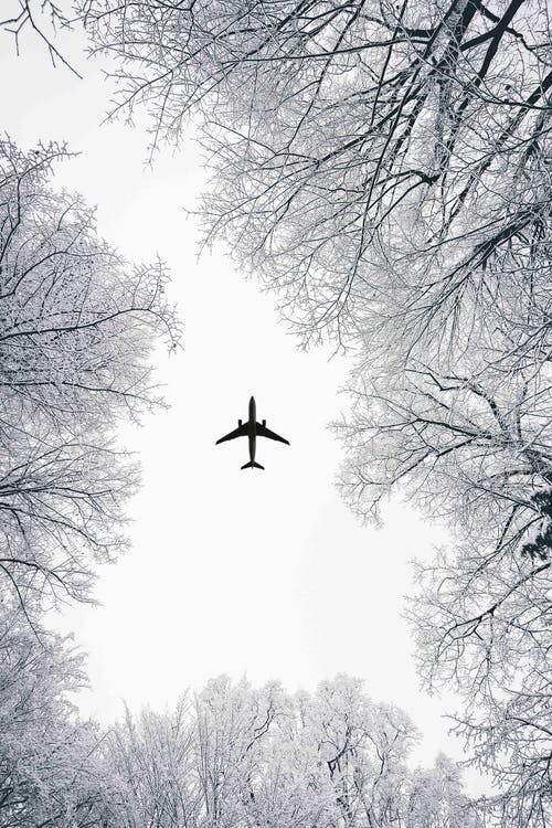 冬季客机的低角度视图 · 免费素材图片