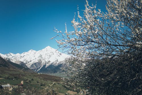 白雪覆盖的山 · 免费素材图片