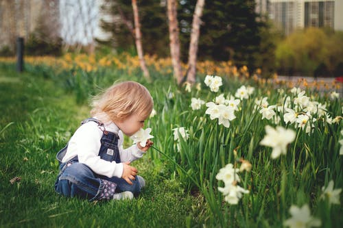 女孩坐在草地上闻到白色花瓣花 · 免费素材图片