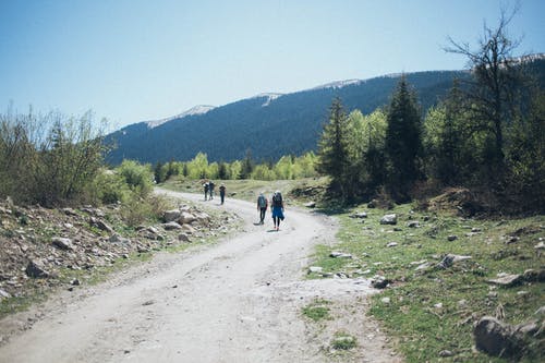 五人在晴朗的蓝天底下的农场道路上行走 · 免费素材图片
