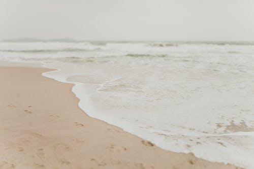 岸边的特写照片 · 免费素材图片