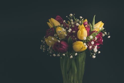 花瓶里的五彩的郁金香 · 免费素材图片