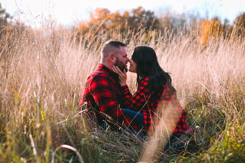 有关一对, 一起, 乾草地的免费素材图片