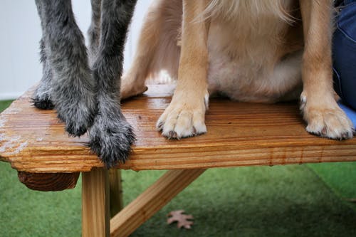 有关一起, 不均匀的, 休息的免费素材图片