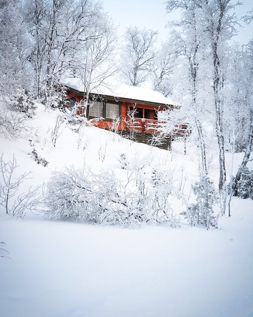 被雪覆盖的房子 · 免费素材图片