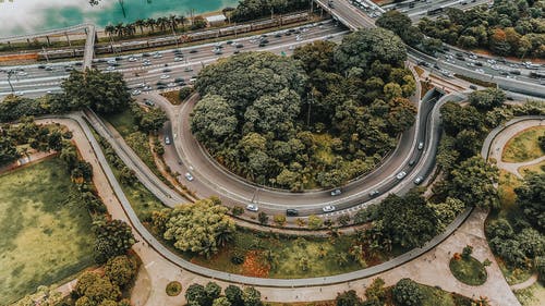 道路和树木的航拍 · 免费素材图片