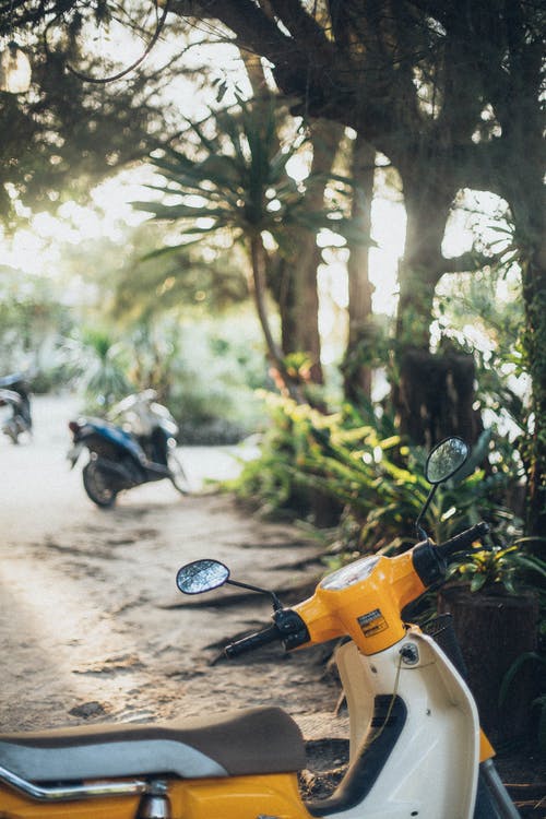 黄色和白色的摩托车停在树下的选择性聚焦摄影 · 免费素材图片