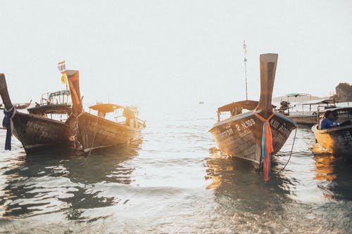 三只棕色的小船 · 免费素材图片