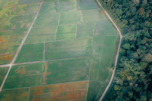伍兹附近的农田的顶视图照片 · 免费素材图片