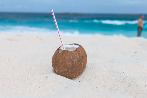 棕色椰子在沙滩上 · 免费素材图片