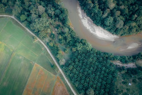 空中摄影中的树木之间的河 · 免费素材图片