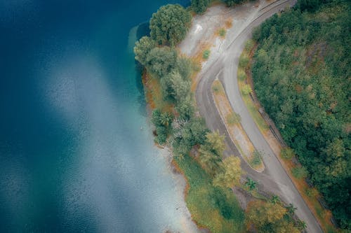 树木之间的道路的鸟瞰图摄影 · 免费素材图片