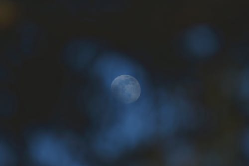夜间满月的照片 · 免费素材图片