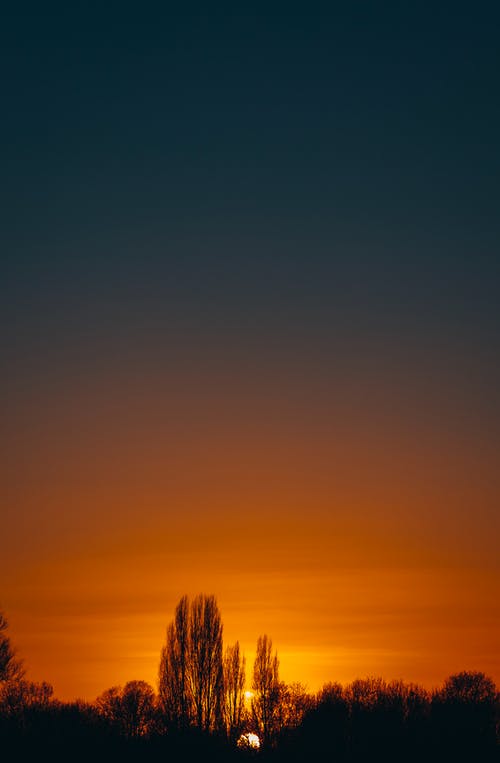树木剪影摄影 · 免费素材图片
