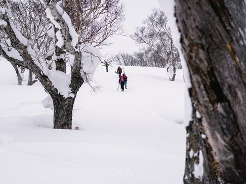 在雪地上行走的人 · 免费素材图片