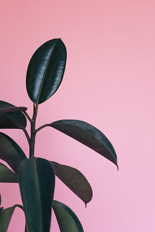 环保橡胶厂 · 免费素材图片