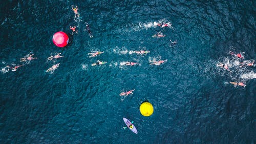 人们在水体上游泳 · 免费素材图片