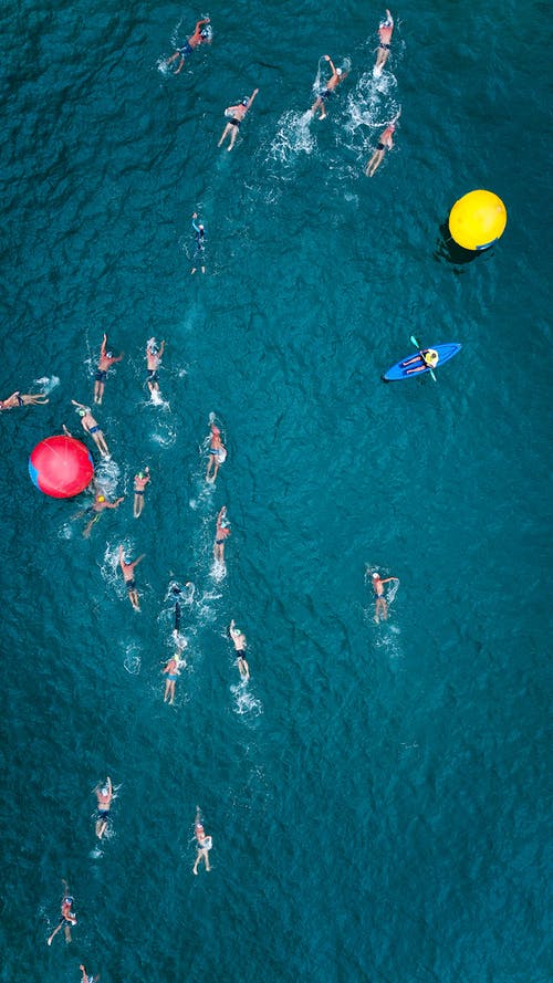 人们在海上游泳 · 免费素材图片