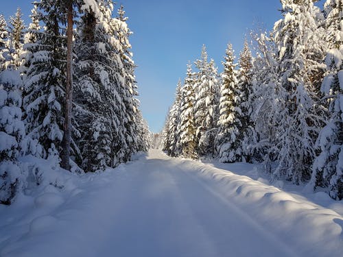 有关下雪的, 冬季, 冰的免费素材图片