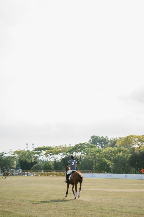 男子骑乘马 · 免费素材图片