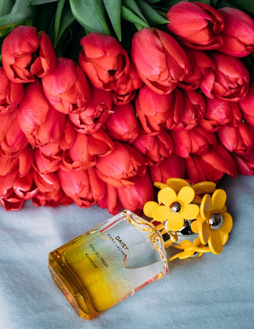 靠近香水瓶的红色郁金香 · 免费素材图片