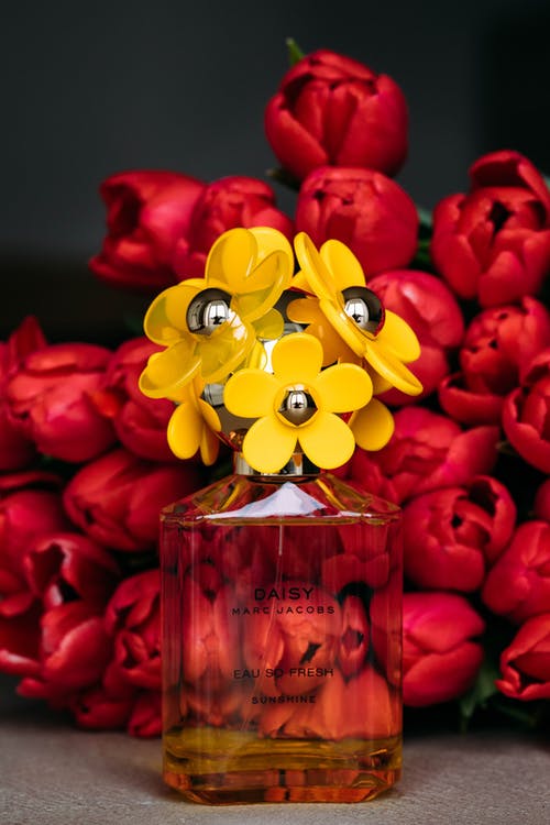 女香水反对红色郁金香花束 · 免费素材图片