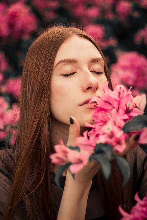 女人手捧粉色花 · 免费素材图片