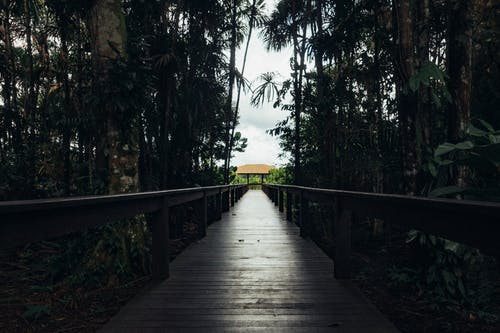 棕色木制人行桥 · 免费素材图片