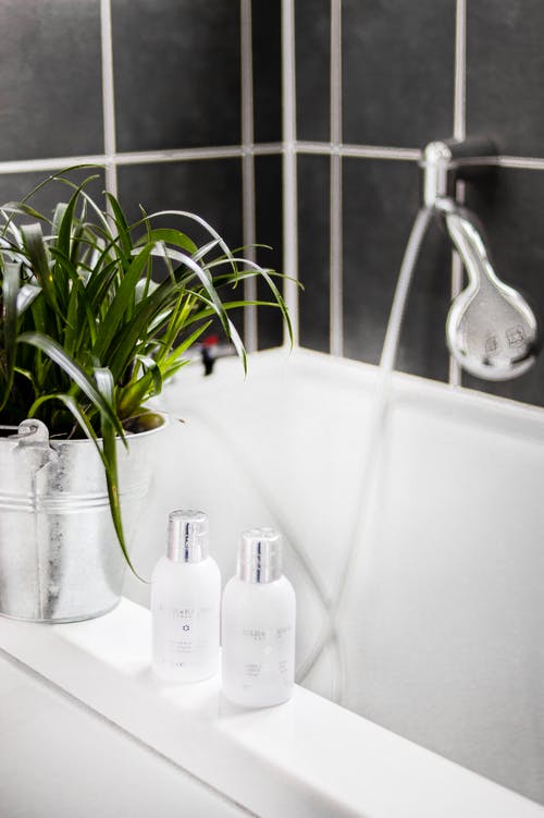 浴缸里的盆栽植物旁边的两个白瓶 · 免费素材图片