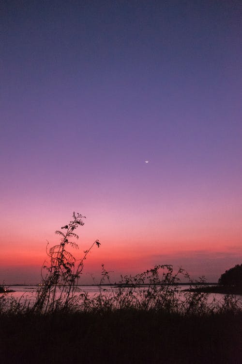 横跨北极星的绿草照片 · 免费素材图片