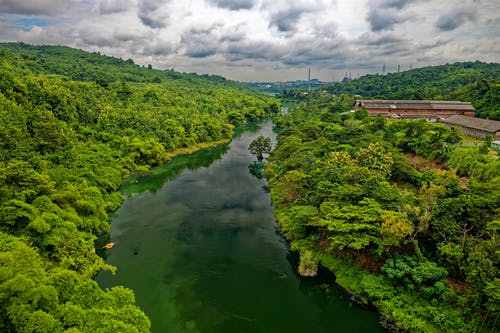 树间河 · 免费素材图片