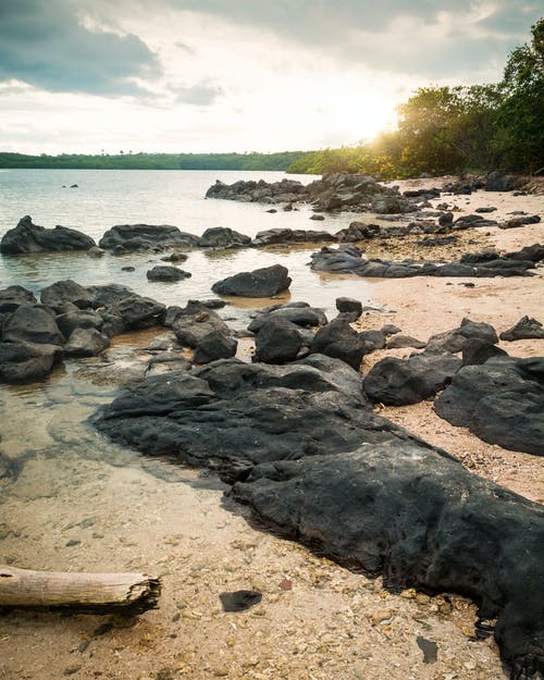 岸上的黑岩 · 免费素材图片